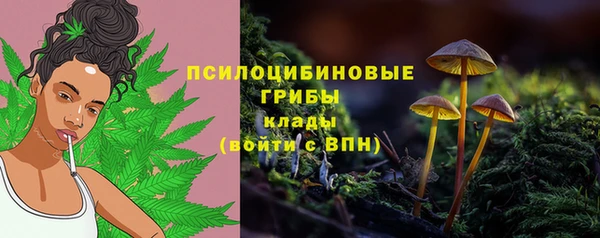 амф Бронницы