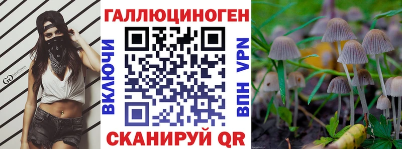 где найти   Киселёвск  Галлюциногенные грибы Psilocybine cubensis 