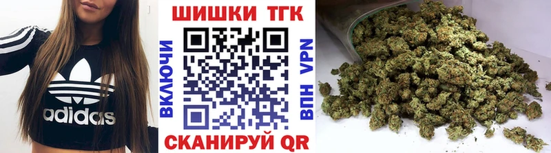 Конопля OG Kush  купить наркоту  Киселёвск 